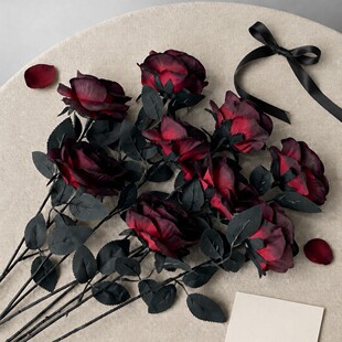 �羳�������ڼtõ���֧�L�U���컨�f�}�������L�Ɍ������b�