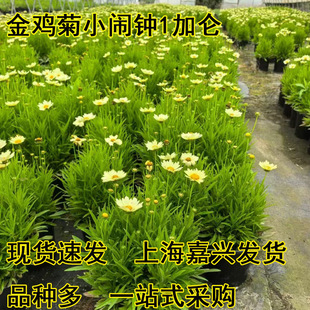 ���u��С�[�R���Զ������ͺ��͟��޸�����ͥԺ���@����e����ֲ��