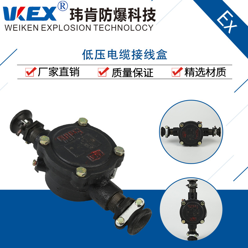 玮肯科技-矿用隔爆低压电缆接线盒-BHD2-20/127-6T