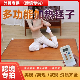 电热毯/垫;暖脚器;电热膜