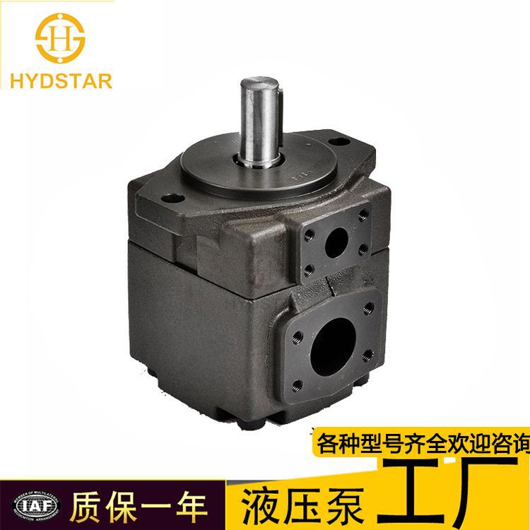 PV2R1 PV2R2 PV2R3油研液压 注塑机鞋机低噪音维修配件泵胆叶片泵