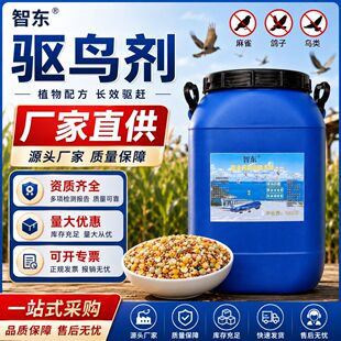 �ǖ|ZD-QN2600�C��������B����B�w��������B���B�ͨ��