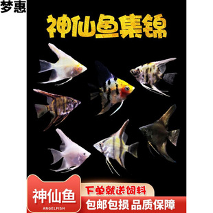 �~�Ꭷ�^�p�~��̖���~������ɫ��ˮ���BС���߲��~