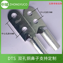 双孔铜鼻子国标DTS双眼接线端子紫铜电缆铜线耳孔径改大小定制