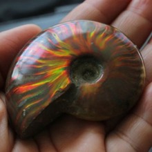 ��Ȼ�߲��ݰ��� ���ݻ�ʯ������ְѼ� ��ʺ� ��ʯ��ʯ