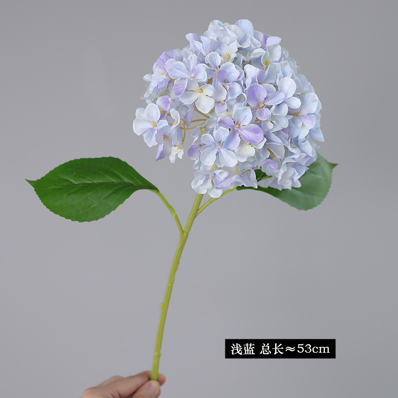 하늘색 트럼펫