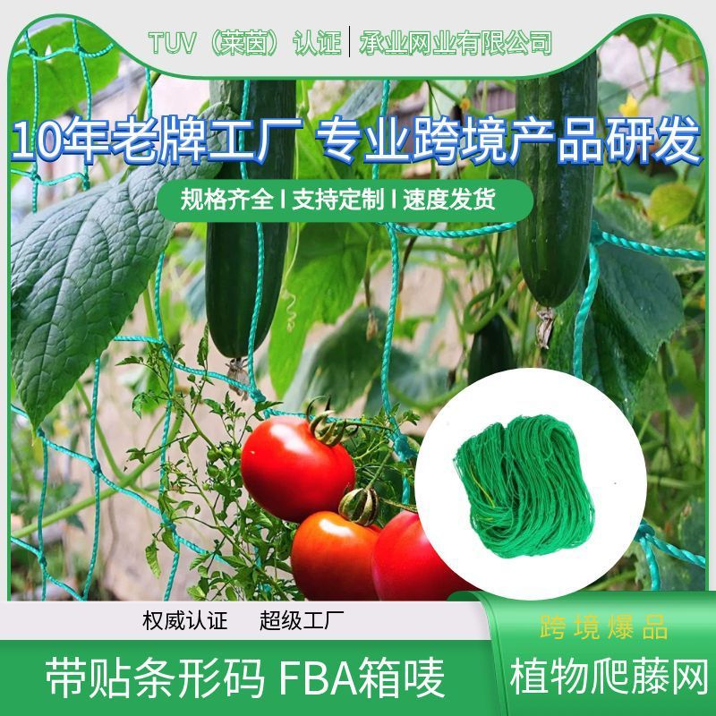 Nylon escalada vid red jardinería melón fruta vegetal Loofah cuerno de frijol escalada rack crisantemo jardín Red anti-Lodging Net