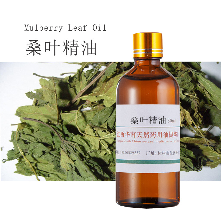厂家批发 超临界萃取  桑叶精油  单方精油  植物精油  按摩油