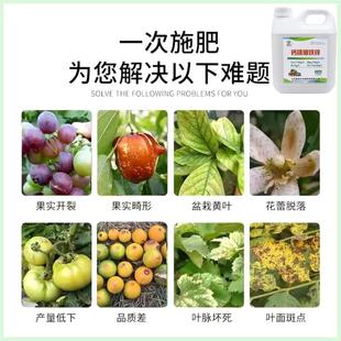 Calcium Magnesium Boron Zinc Iron Foliar Fertilizer Chelated Medium and Trace Elements Water-Soluble Fertilizer for Vegetables, Fruit Trees and Citrus General Purpose