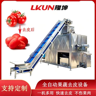可定制全自动番茄蒸汽去皮机 西红柿高温烫皮机 隆坤纯物理爆皮机