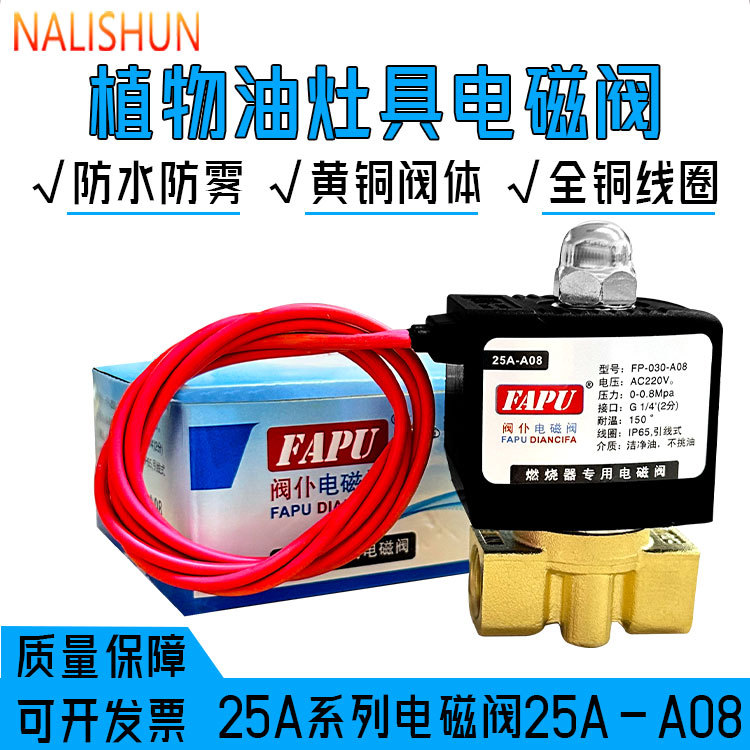 Vegetable Oil Methanol Liquid Wax Stove Stove Solenoid Valve Universal Anti-Leakage Oil Thread 2-Point Solenoid Valve