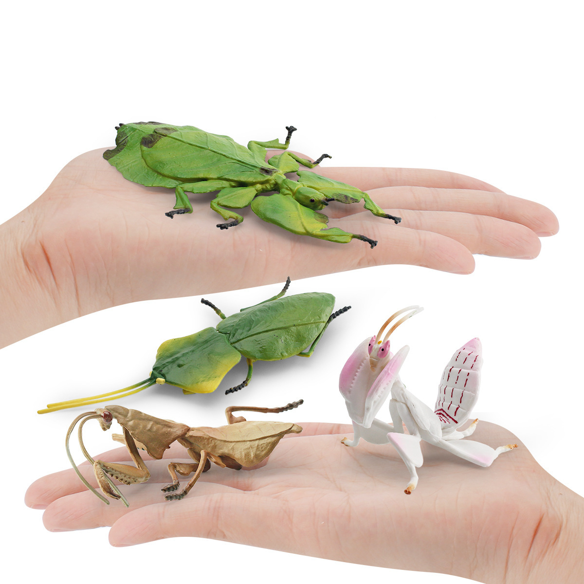 Transfronterizo simulación insecto modelo animal HOJA DE Sishi hoja muerta Mantis hoja gigante orquídea Mantis decoración de escritorio