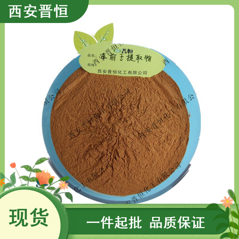 车前子提取物 比例提取水溶车前子粉 另有车前子壳提取物   现货