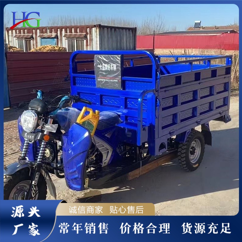 Three-wheeled gasoline motorcycle