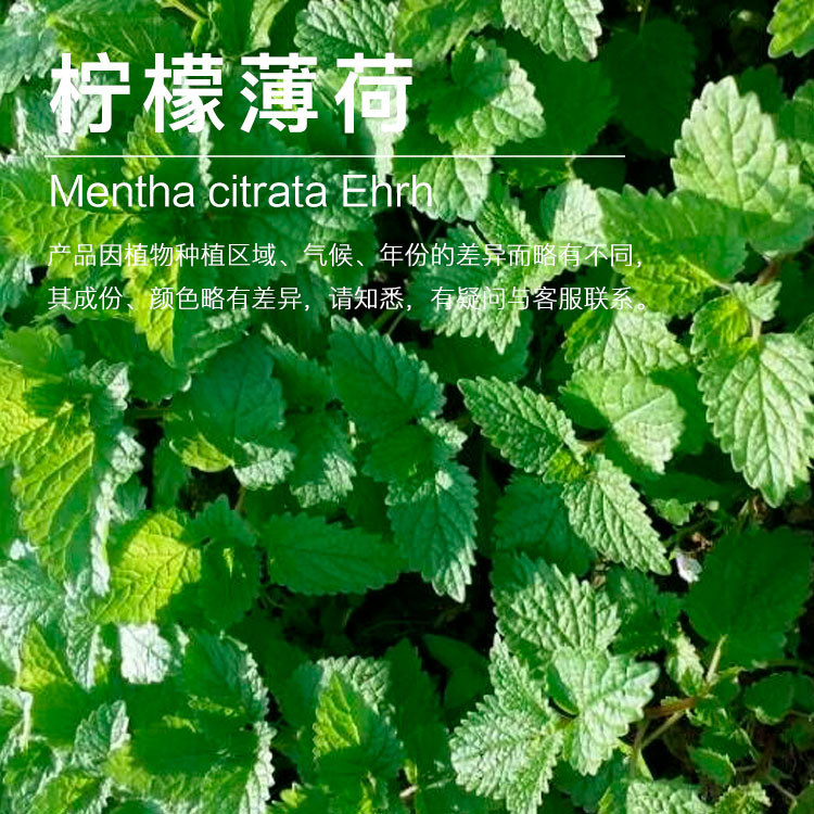 ���ҹ�Ӧ���ʱ��ɾ��� ������ȡ���ʱ��� ֲ������������