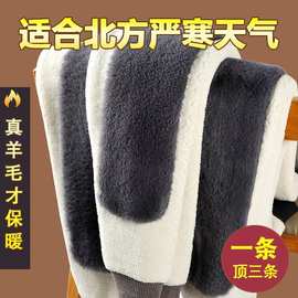 羊绒裤男加厚加绒羊羔绒保暖裤打底羊毛裤女士中老年高腰棉裤冬季