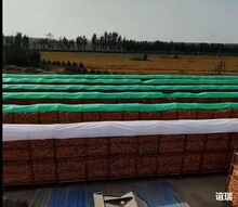 �Zʳ���������겼�ڷ������겼�@���ׂ}���\���w�n�����ϲ�����