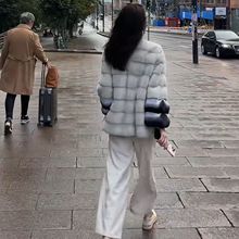 ﶬ¿ˮë̿؈IAIӺůŮ