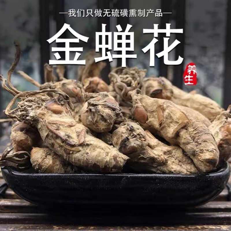 Jin Chan Hua (Cordyceps cicadae) — Dried Food-Herb Fungus for Decoction & Soup key features
