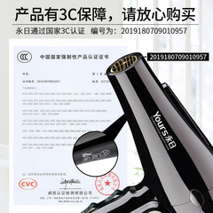 Home Aromatherapy High-Power Hair Dryer with Constant Temperature, Multi-Speed Adjustment, Drop-Shipping Wholesale