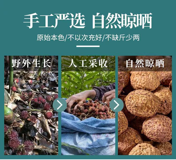 Sha Ren (Amomum villosum) Dried Fruit — Guangdong Grown Food-Herb Spice, 500g key features