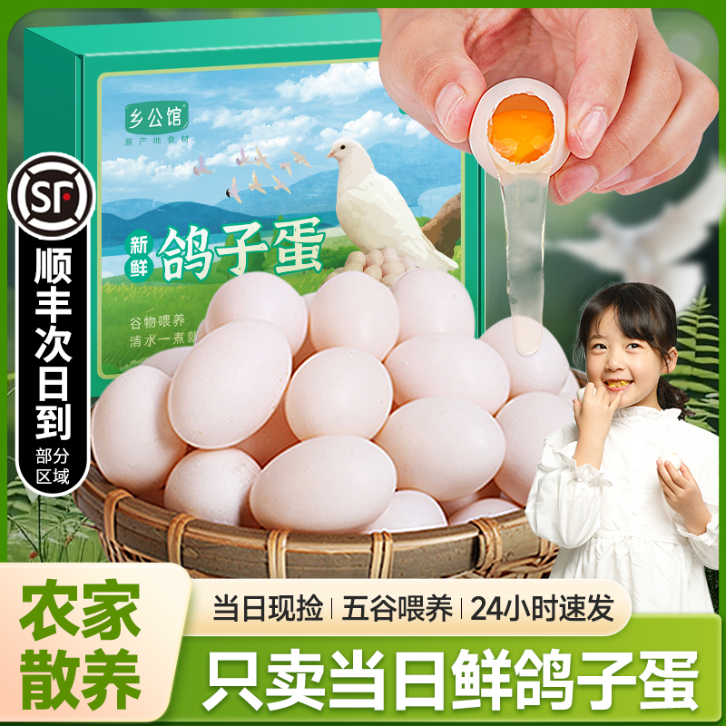 Fresh pigeon eggs 30pcs farm free-range pigeon eggs official flagship gift box pregnant women whole grain white pigeon eggs