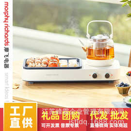 养生壶围炉煮茶器多功能家用室内外煮茶煎烤一体泡茶机MR6093