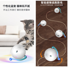 The Anxinbao Smartphone APP Controlled Cat Toy, a Fun-Seeking Obstacle-Avoiding, Sound and Light Attracting Self-Having Toy