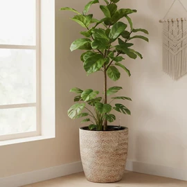 花盆容器;园艺灌溉工具;园艺工具