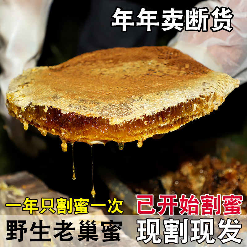 秦岭野生蜂巢蜜嚼着吃蜂巢蜂蜜老巢蜜天然农家土蜂蜜自产蜂窝