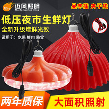 LED低压生鲜灯12V夜市摆地摊电瓶猪肉水果卤菜海鲜熟食南瓜生鲜灯