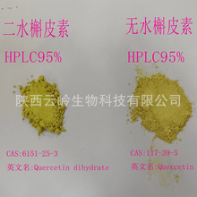 槐米提取物二水槲皮素和无水槲皮素粉末颗粒95%HPLC98%UV槲皮素