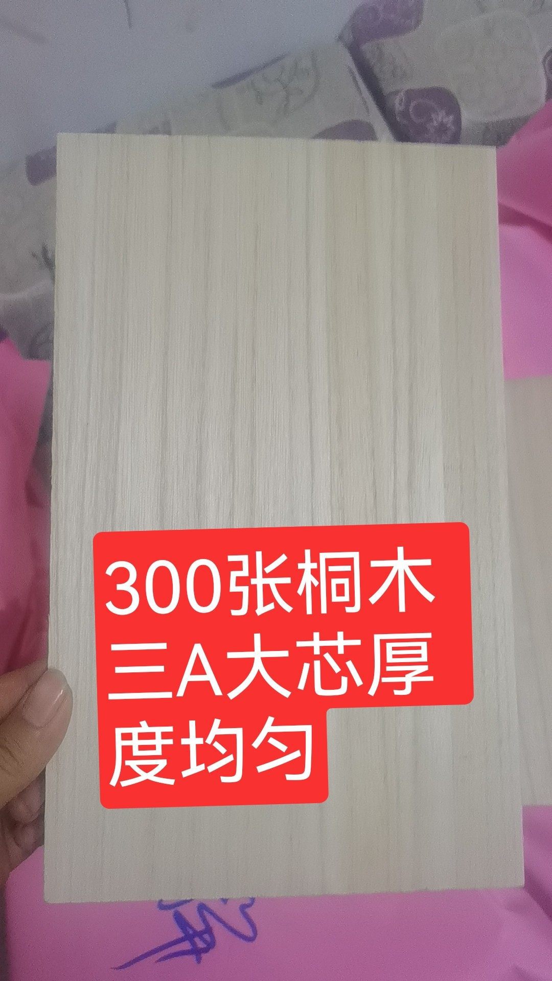 racket for table tennis with butterfly