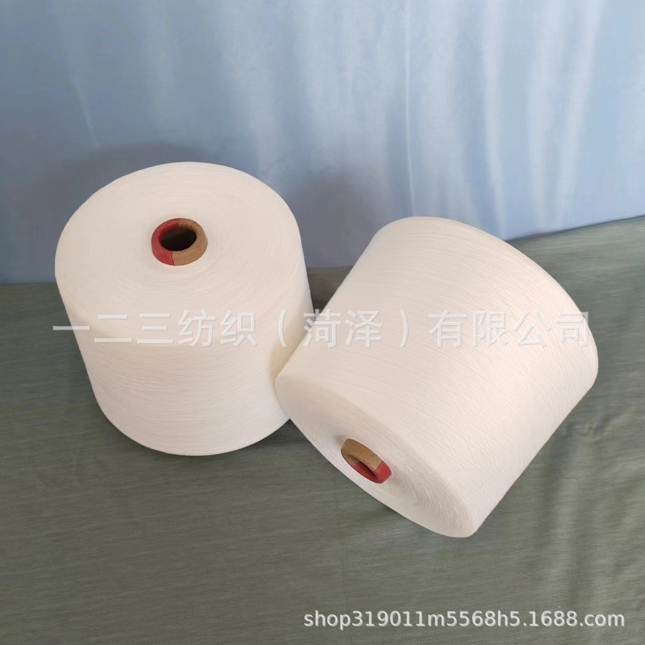 新泰圣雅纺织有限公司2025.02.10SLJ