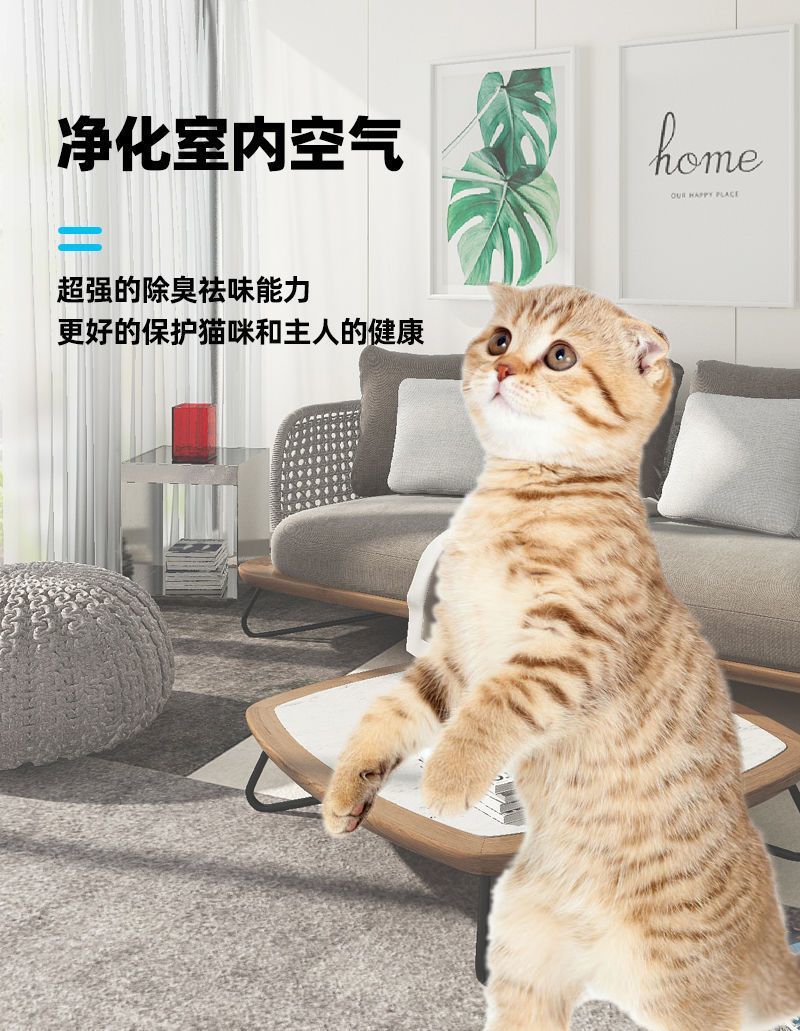 68027e12-7b7f-4fdf-81ce-e01667c5b5e6.jpe