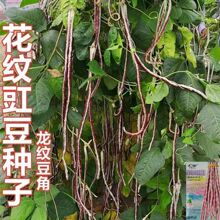 yNӲʺ绨LǷNӸ߮atLNӴ