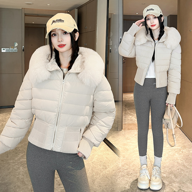 Otoño y invierno ins Europa y América cuello de lana ropa de algodón casual delgada cuello de lana de mujer abrigo de pluma con capuchón corto