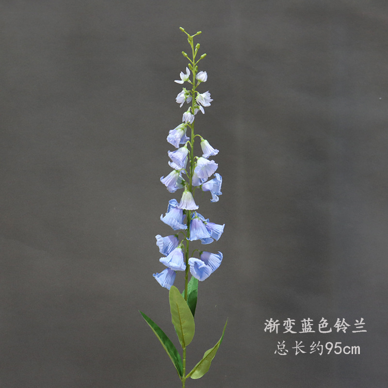 Gradiente azul lirio del valle