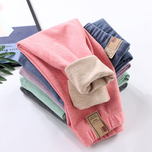 2024�＾�¿ͯУ�������Ų��Q�z��ë��ůѝ�p��ĥëͯ�b��ůѝ