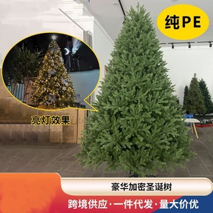 Cross-Border Christmas Tree Home Light-Emitting with Lights Pure Pe Artificial Naked Tree Canadian Cold Shirt Christmas Decoration