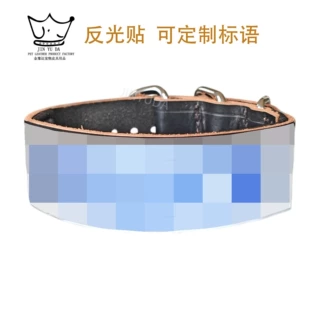 工厂定制宠物狗狗项圈狗脖圈真皮全粒面头层牛皮皮质定制OEM贴牌