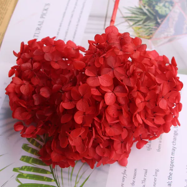 Red/support