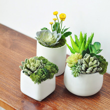 ��˼ ����������ԼپGֲ �b�Ʒ�[��С�ͷ���ֲ�������辰art007