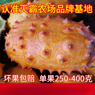 ���������r��Թ����˷䳲�ۻʵ۵��Ǵ���殐���̽ǹϻ��ǹ��ЋD