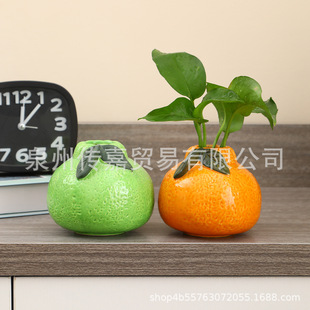 Hydroponic Flower Device, Tangerine, Orange, Tangerine, Home Creative Ornaments