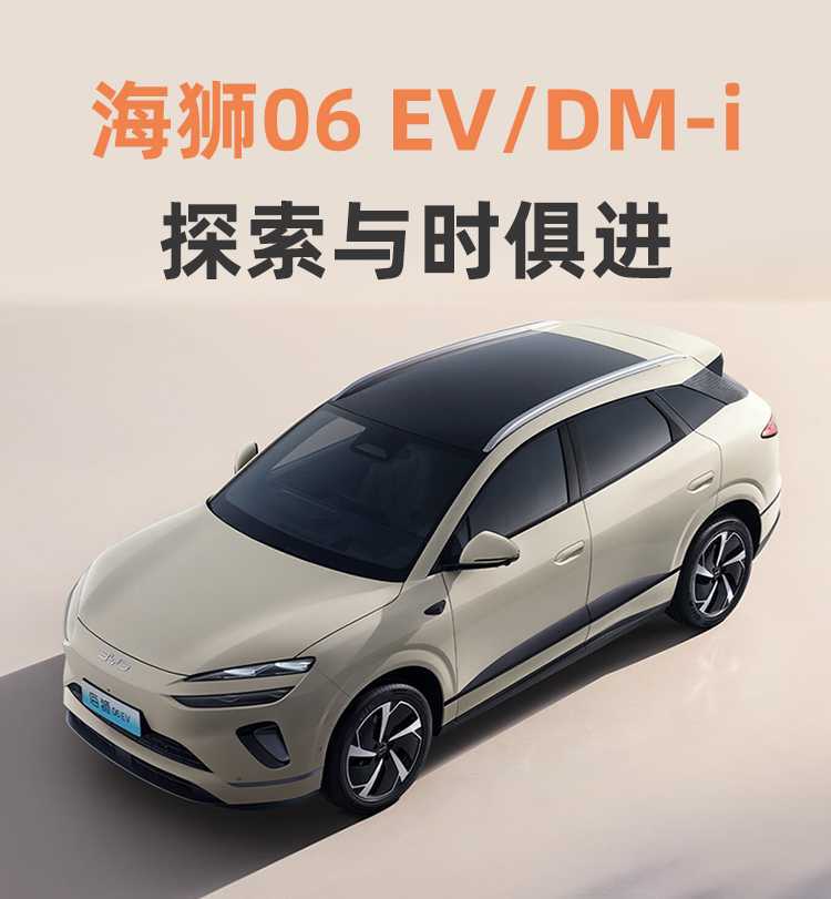 BYD Sealion 06DM-i Full Coverage Car Seat Cushion