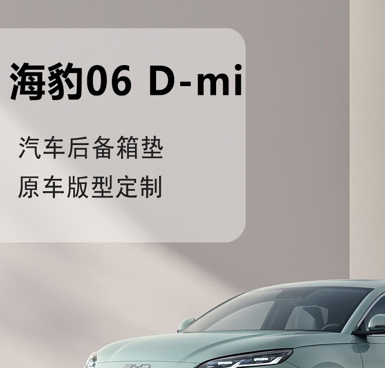 24 Byd Seal 06 Trunk Mats Fully Surrounded Special Seal 06dmi Trunk Mats Modified Decorative Supplies/