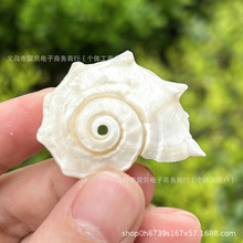 ҹ�⺣�R���y�ڈA���ݾ�ؐ�ľ�з��Q���~���쾰�[���˱��S�����l