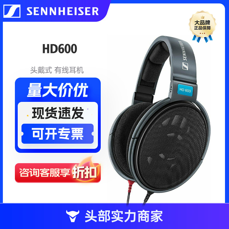 Sennheiser Hd600 Audiophile-Grade Head-Mounted Hifi High-Fidelity Music Open Type