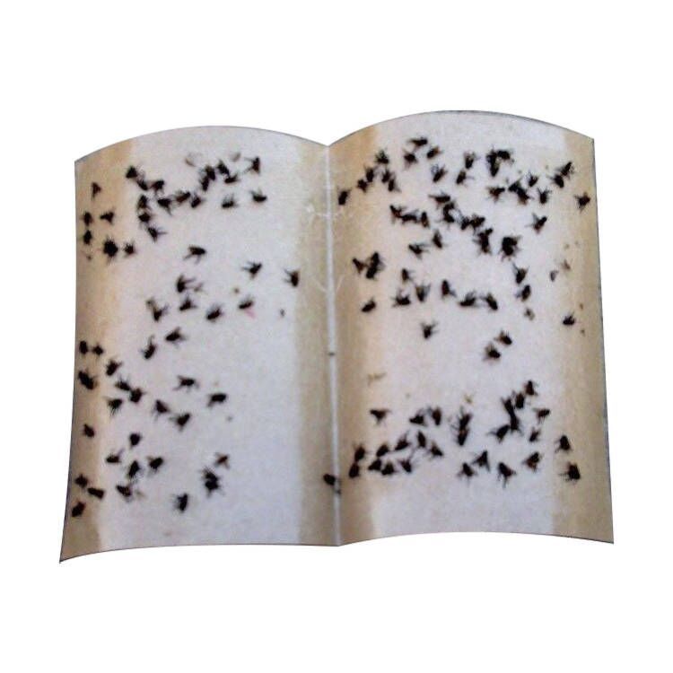 0$O3F5EAYIQ}X$E5((5$980